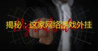 揭秘：这家网络游戏外挂供应商如何脱颖而出
？